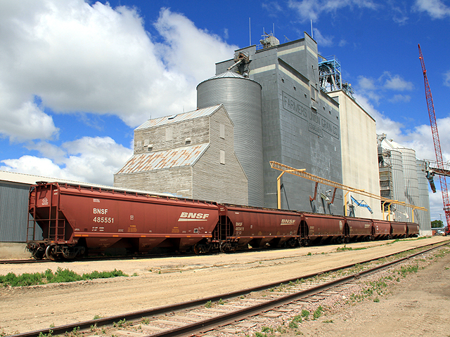 BNSF cars wait to be loaded at a grain elevator near Edgeley, North Dakota. Farmers this year are going to have to figure out how to store soybeans because of a lack of exports out of the Pacific Northwest. (DTN file photo by Elaine Shein) 